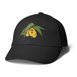 【goods】おでこから生えた！ビワキャップ