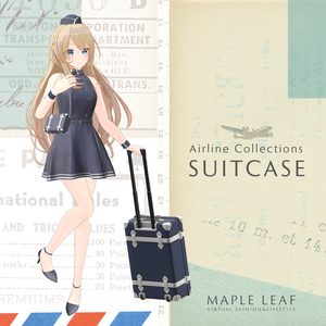 【全8色】SuitCase&Trunk