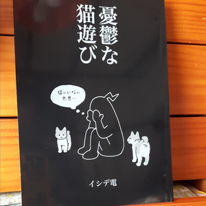 憂鬱な猫遊び