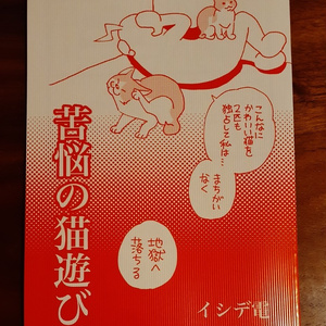 苦悩の猫遊び