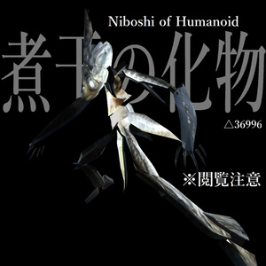 [閲覧注意:3Dモデル]Humanoid入り煮干し 缩略图 4