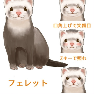 ネコちゃん様 ママ、これあげるよ！おつかれさま」まんまる猫ちゃん、忙しい飼い主に