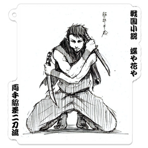 【エブリスタ】戦国長編小説「蝶や花や」～伊賀の服部半蔵～