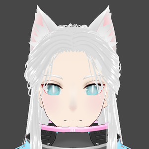 cat boy model (shiro)