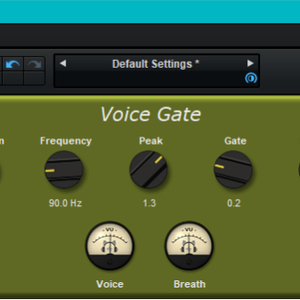 fmVoiceGate - プロトタイプ Ver.0.1.0