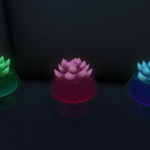 クリスタル エケベリア // Crystal Echeveria 缩略图 5