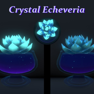 クリスタル エケベリア // Crystal Echeveria