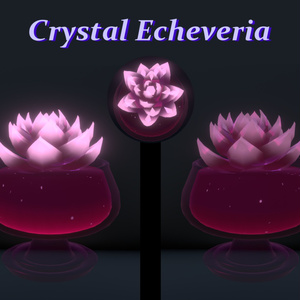 クリスタル エケベリア // Crystal Echeveria 缩略图 2