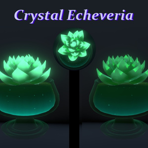 クリスタル エケベリア // Crystal Echeveria 缩略图 3