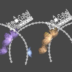 ♚王冠の頭飾り1.1 缩略图 3