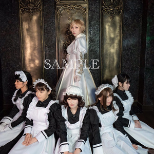 Mサイズ】ワンダーパーラー クラシカルメイド®︎服 ロング丈
