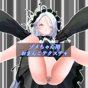 【Avzomend】ゾメちゃん専用おまんこテクスチャ