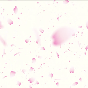 桜_シーンチェンジ