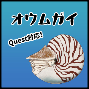 [VRchat想定]オウムガイ -nautilus-