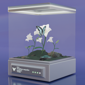 Butterfly  Pod　蝶のテラリウムインテリア(ループアニメーション付き)