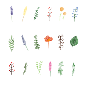 お花と草とそのなかまたち。〜その1〜