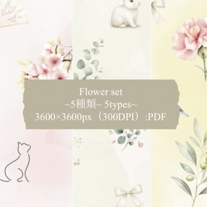 Flower Set｜水彩フラワーデジタルペーパー 5種類セット｜カーネーション・桜・勿忘草・かすみ草・アナベル｜3600×3600px｜300DPI｜PDF