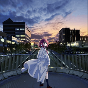 完売】プトリカ1st.cut パッケージ版【C105】 - トトメトリ公式通販