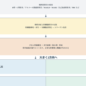肝硬変 病態関連図｜病態生理・症状・観察・看護がつながる基礎学習シート【Excel】