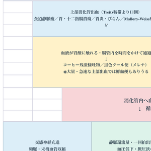 【消化管出血の病態関連図】病態生理・症状・観察・看護がつながる基礎学習シート｜看護学生・新人看護師向け【Excel】
