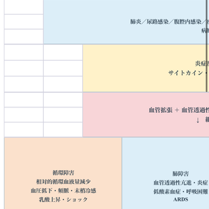 【敗血症の病態関連図】病態生理・臓器障害・観察・看護がつながる基礎学習シート｜看護学生・新人看護師向け【Excel】