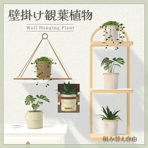 壁掛け観葉植物｜置き型でも使えるインテリアグリーン