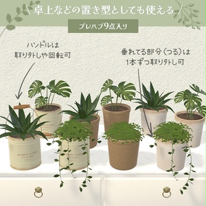 壁掛け観葉植物｜置き型でも使えるインテリアグリーン 缩略图 4