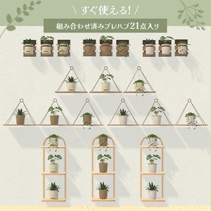 壁掛け観葉植物｜置き型でも使えるインテリアグリーン 缩略图 3