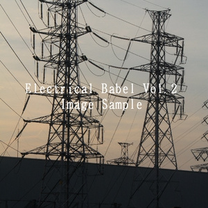 Electrical Babel Vol.2 -東京電力 野川線-