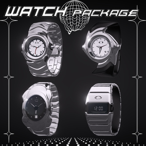 VTG watch package Wristwatch 3D Model