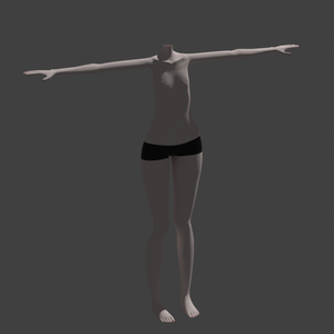 T.A body