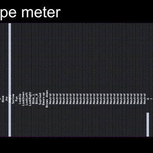 vrm shape meter
