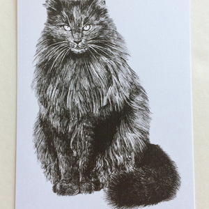 猫ペン画イラストポストカード