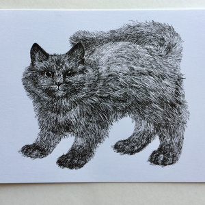 猫ペン画イラストポストカード
