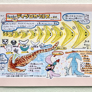 ディプロカウルス メガネ拭き