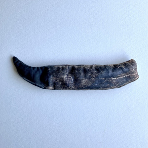 ティラノサウルス｢歯｣小豆アイピロー