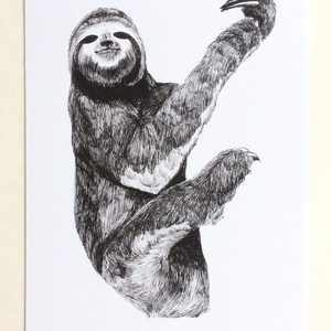 動物ペン画イラスト ポストカード