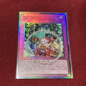 フィービー 鳴潮 カードスリーブ 67mm×92mm 60枚入り - CircleKOS - BOOTH