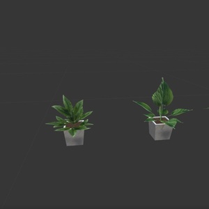 CALORE furniture props 缩略图 26