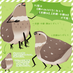 【VRchat向け3Dモデル】うずらのようなもの 缩略图 4