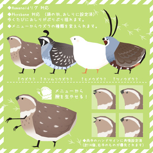 【VRchat向け3Dモデル】うずらのようなもの 缩略图 2