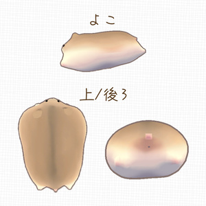 【動く！】ぷかぷかハムちゃん【MA対応】 缩略图 3