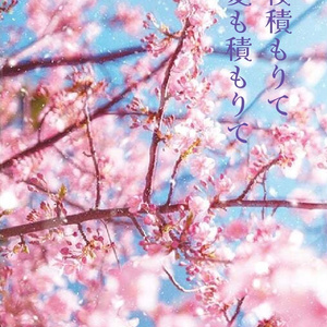 Cherry blossoms pile up, and so does love.