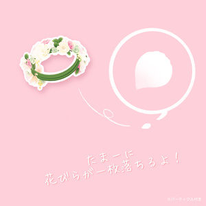 祝福の花冠 缩略图 7