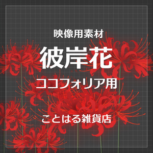 【ココフォリア素材】彼岸花