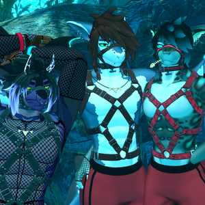 Harness, Collar, & Muzzle for Shawn the shark