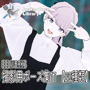 EELWORKS 撮影用ポーズ集17 【20種類】