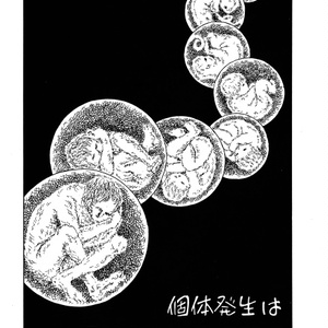 岡田睦作品集（第二版分） - miyauchibooks - BOOTH