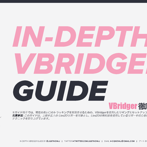 Vbridgerモデリング解説書