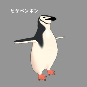 【VRChat】ペンギン3種【Cluster】 缩略图 4
